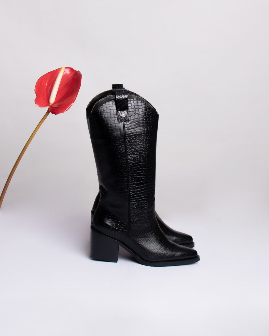 Botas Texanas Candelaria