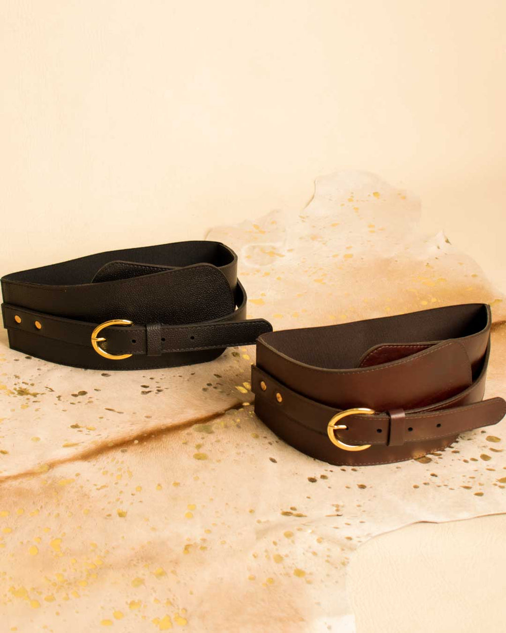 Fajón Zora